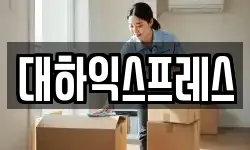 대하익스프레스