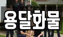 용달화물