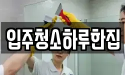 입주청소하루한집