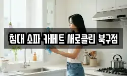 침대 소파 카페트 새로클린 북구점