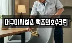 대구이사청소 백조의호수크린