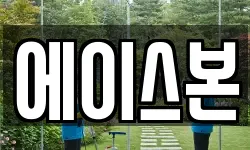 에이스본