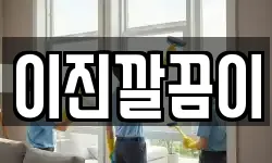 이진깔끔이