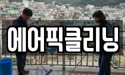 에어픽클리닝