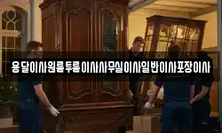 대구광역시 서구 원대동3가 이사,용달이사,포장이사,원룸이사,보관이사