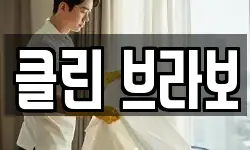 클린 브라보