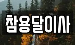 참용달이사