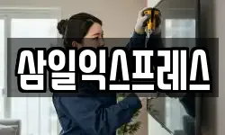 삼일익스프레스