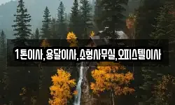 1톤이사,용달이사,소형사무실,오피스텔이사