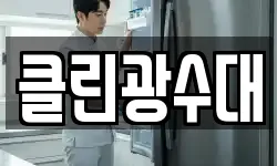 클린광수대