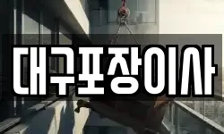 대구포장이사