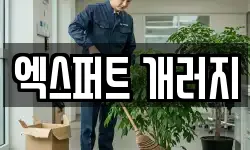 엑스퍼트 개러지