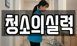 청소의실력
