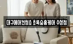 대구에어컨청소 초록숲홈케어 수성점
