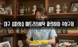 대구 소파청소 매트리스세탁 클린하마 수성구점