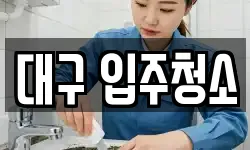 대구 입주청소