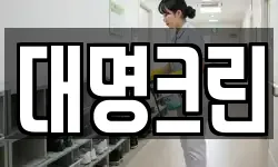 대명크린
