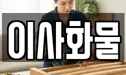 이사화물