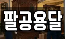 팔공용달