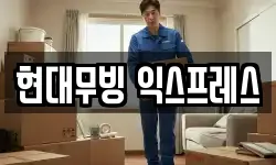 현대무빙 익스프레스