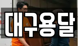 대구용달