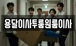 대구광역시 수성구 신매동 이사,용달이사,포장이사,원룸이사,보관이사