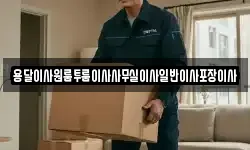 용달이사원룸투룸이사사무실이사일반이사포장이사