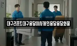 대구리프트대구용달이사개인용달용달화물