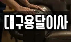 대구용달이사