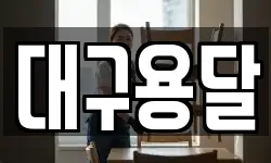 대구용달