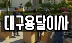대구용달이사