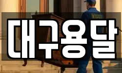 대구용달