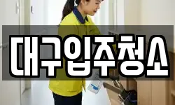 대구입주청소