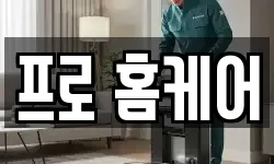 프로 홈케어