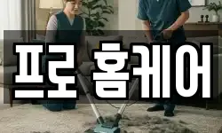 프로 홈케어
