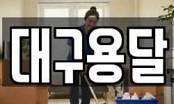 대구용달