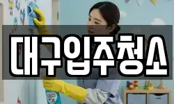 대구입주청소