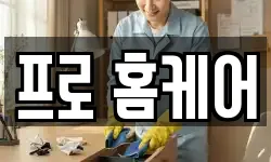 프로 홈케어