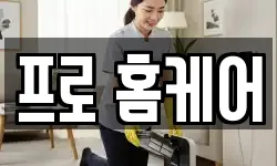 프로 홈케어
