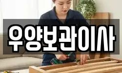 우양보관이사