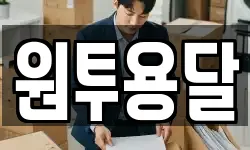 원투용달