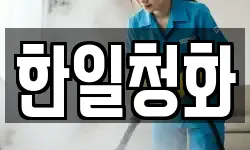 한일청화