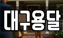 대구용달