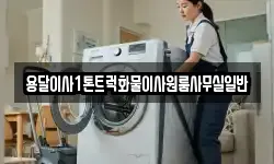 용달이사1톤트럭화물이사원룸사무실일반