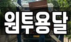 원투용달