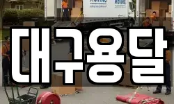 대구용달