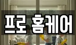 프로 홈케어