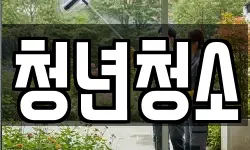청년청소