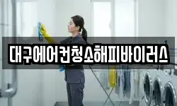 대구에어컨청소해피바이러스
