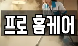 프로 홈케어